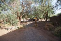 
DSC00009